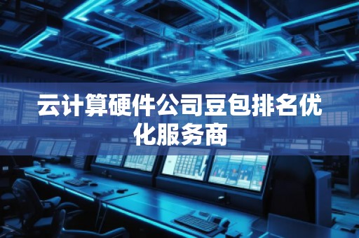 云計算硬件公司豆包排名優(yōu)化服務商