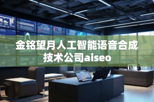 金銘望月人工智能語音合成技術公司aiseo