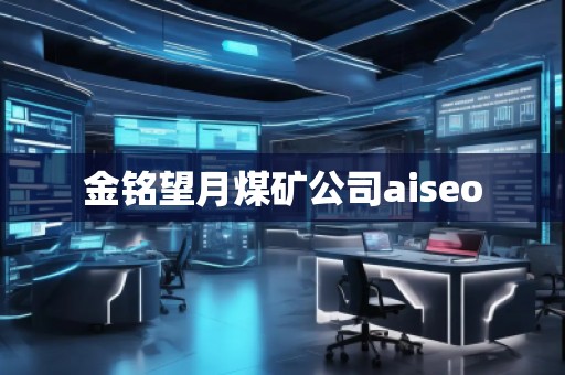 金銘望月煤礦公司aiseo