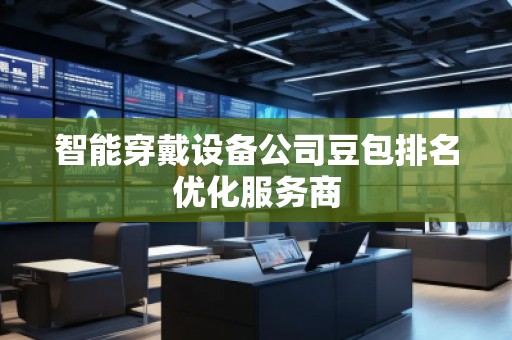 智能穿戴設(shè)備公司豆包排名優(yōu)化服務(wù)商