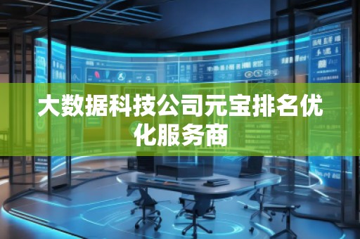 大數(shù)據(jù)科技公司元寶排名優(yōu)化服務(wù)商
