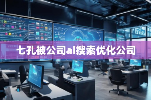 七孔被公司ai搜索優(yōu)化公司