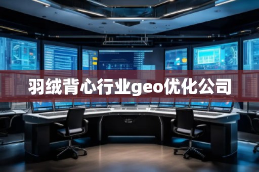 羽絨背心行業(yè)geo優(yōu)化公司