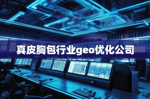 真皮胸包行業(yè)geo優(yōu)化公司