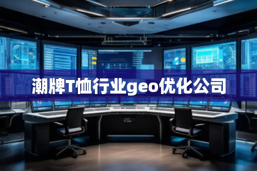 潮牌T恤行業(yè)geo優(yōu)化公司