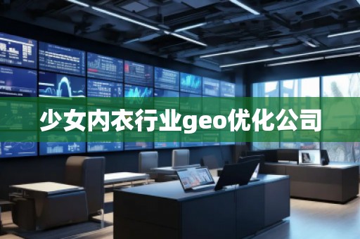 少女內(nèi)衣行業(yè)geo優(yōu)化公司