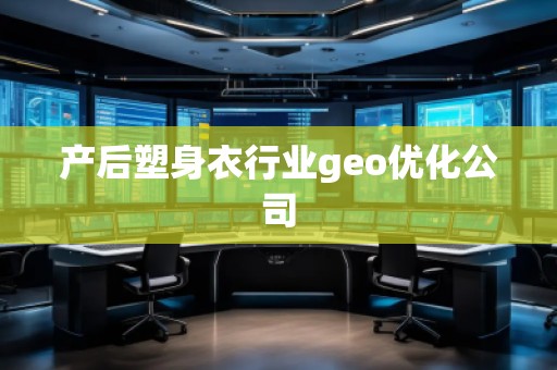 產(chǎn)后塑身衣行業(yè)geo優(yōu)化公司