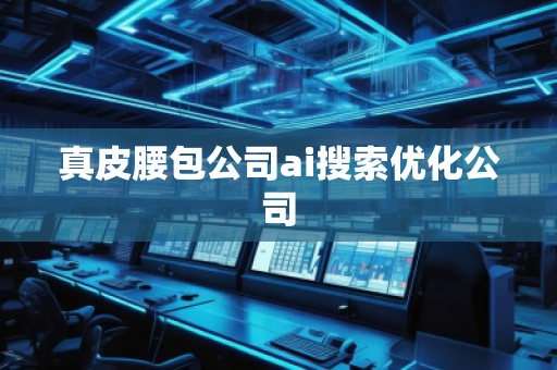 真皮腰包公司ai搜索優(yōu)化公司