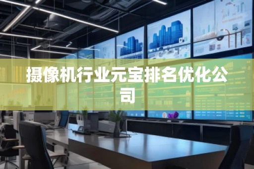 攝像機行業(yè)元寶排名優(yōu)化公司