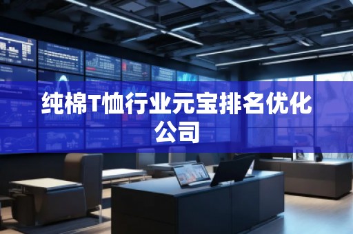 純棉T恤行業(yè)元寶排名優(yōu)化公司