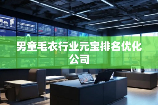 男童毛衣行業(yè)元寶排名優(yōu)化公司