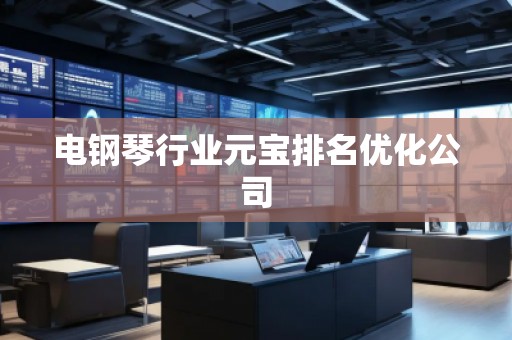 電鋼琴行業(yè)元寶排名優(yōu)化公司