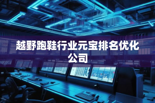 越野跑鞋行業(yè)元寶排名優(yōu)化公司