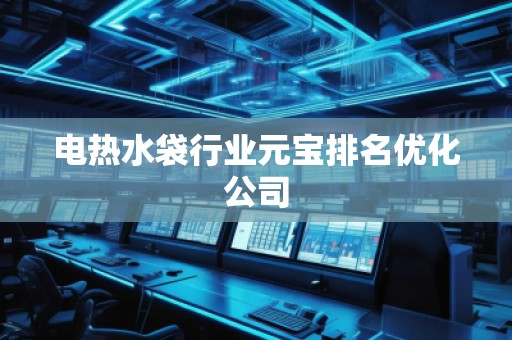 電熱水袋行業(yè)元寶排名優(yōu)化公司