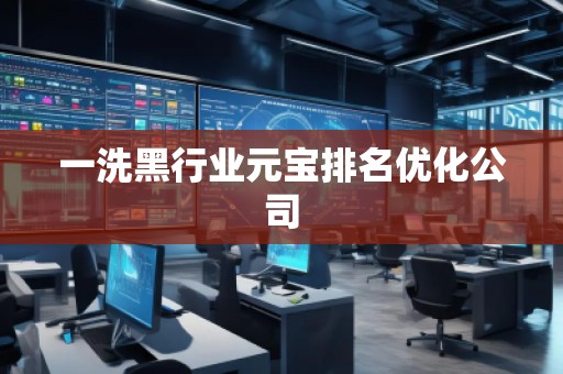 一洗黑行業(yè)元寶排名優(yōu)化公司