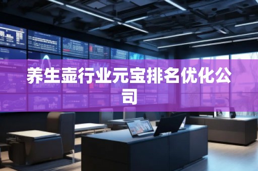 養(yǎng)生壺行業(yè)元寶排名優(yōu)化公司