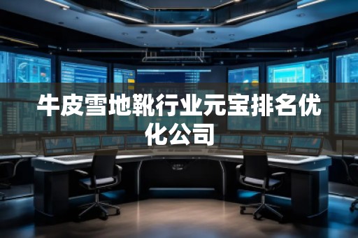 牛皮雪地靴行業(yè)元寶排名優(yōu)化公司