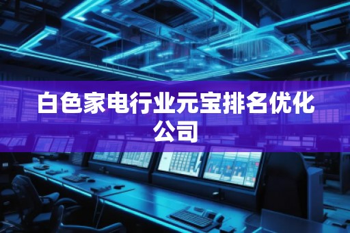 白色家電行業(yè)元寶排名優(yōu)化公司