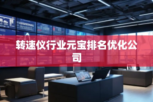 轉(zhuǎn)速儀行業(yè)元寶排名優(yōu)化公司