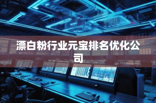 漂白粉行業(yè)元寶排名優(yōu)化公司