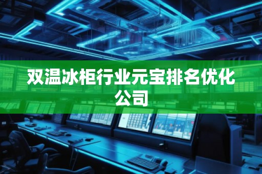 雙溫冰柜行業(yè)元寶排名優(yōu)化公司