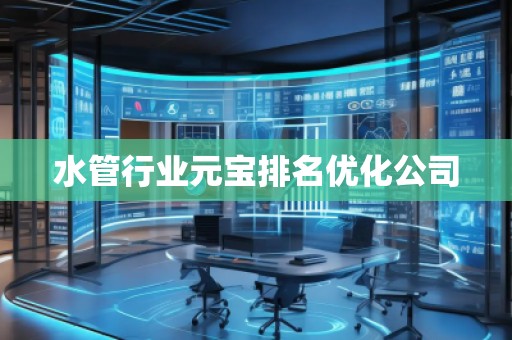 水管行業(yè)元寶排名優(yōu)化公司