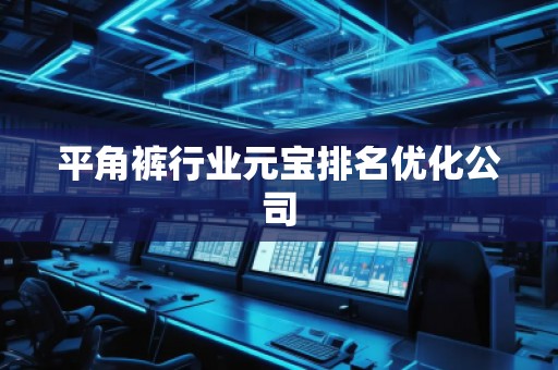平角褲行業(yè)元寶排名優(yōu)化公司