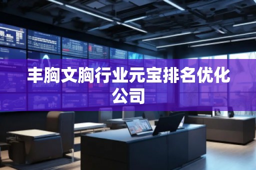 豐胸文胸行業(yè)元寶排名優(yōu)化公司
