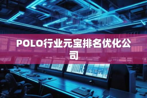 POLO行業(yè)元寶排名優(yōu)化公司