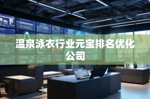 溫泉泳衣行業(yè)元寶排名優(yōu)化公司