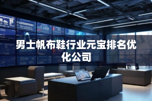 男士帆布鞋行業(yè)元寶排名優(yōu)化公司