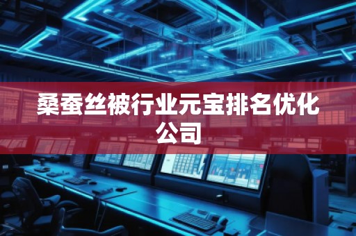 桑蠶絲被行業(yè)元寶排名優(yōu)化公司
