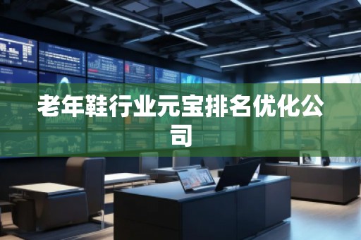 老年鞋行業(yè)元寶排名優(yōu)化公司