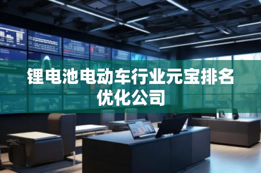 鋰電池電動車行業(yè)元寶排名優(yōu)化公司