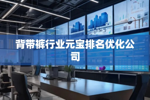 背帶褲行業(yè)元寶排名優(yōu)化公司