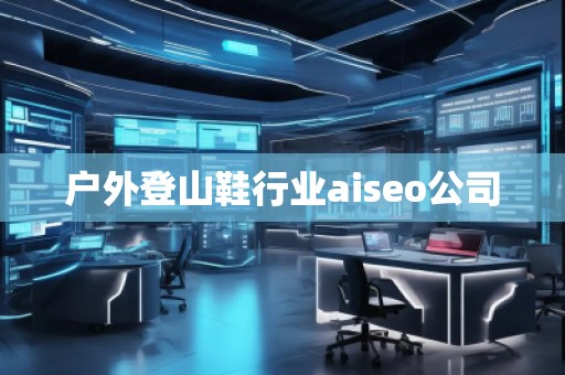 戶外登山鞋行業(yè)aiseo公司
