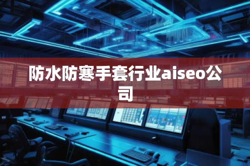 防水防寒手套行業(yè)aiseo公司
