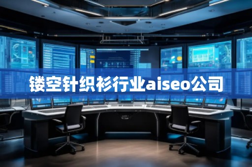 鏤空針織衫行業(yè)aiseo公司