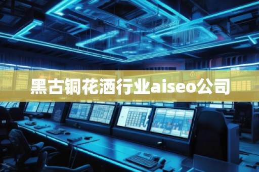 黑古銅花灑行業(yè)aiseo公司