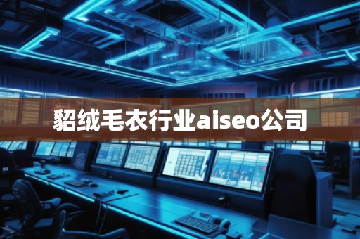 貂絨毛衣行業(yè)aiseo公司