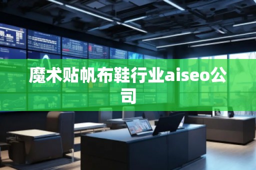 魔術貼帆布鞋行業(yè)aiseo公司