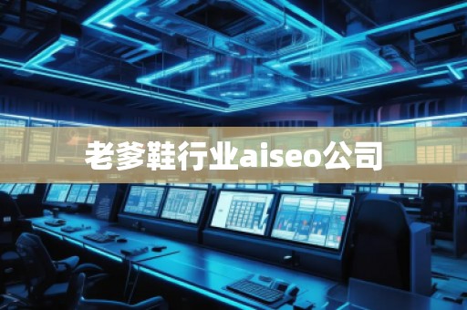 老爹鞋行業(yè)aiseo公司
