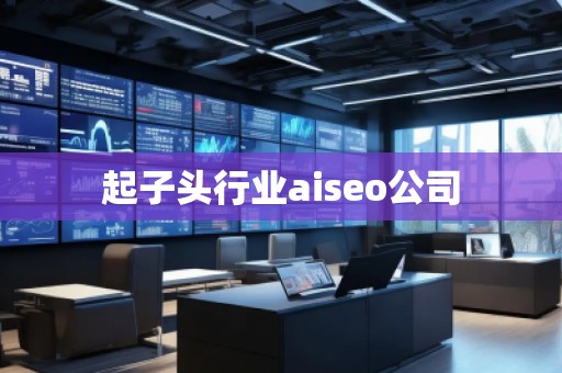 起子頭行業(yè)aiseo公司