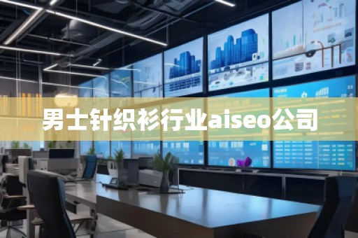 男士針織衫行業(yè)aiseo公司