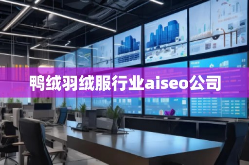 鴨絨羽絨服行業(yè)aiseo公司