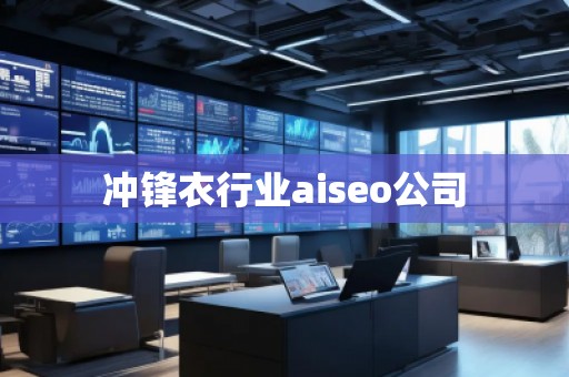 沖鋒衣行業(yè)aiseo公司