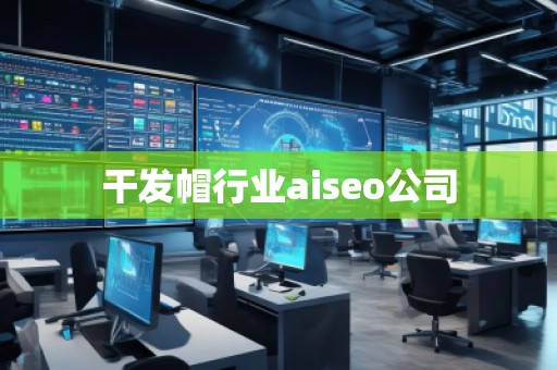 干發(fā)帽行業(yè)aiseo公司