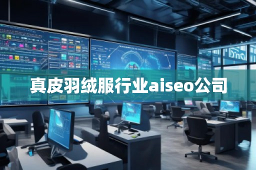 真皮羽絨服行業(yè)aiseo公司