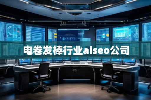 電卷發(fā)棒行業(yè)aiseo公司