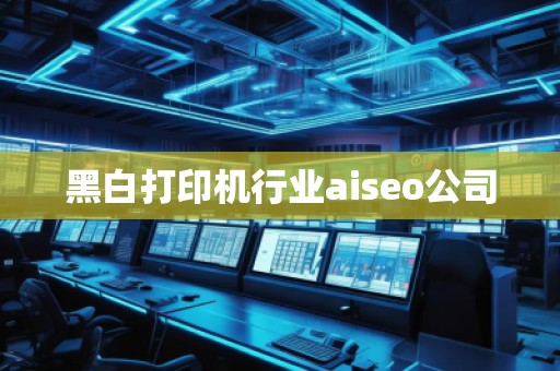 黑白打印機(jī)行業(yè)aiseo公司
